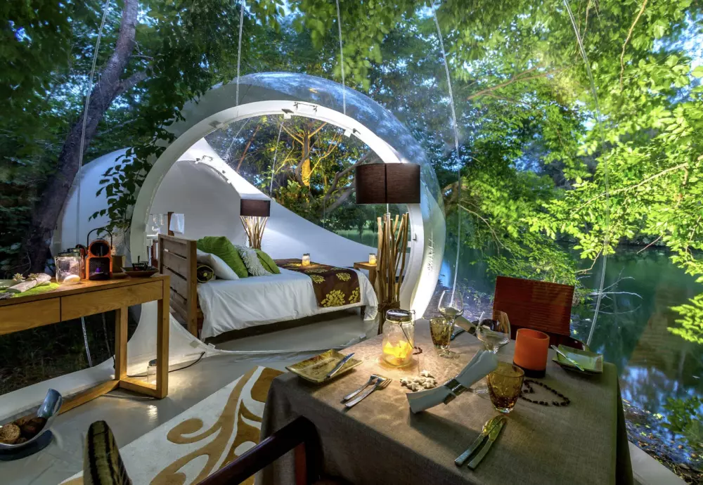 stargaze bubble tent for sale