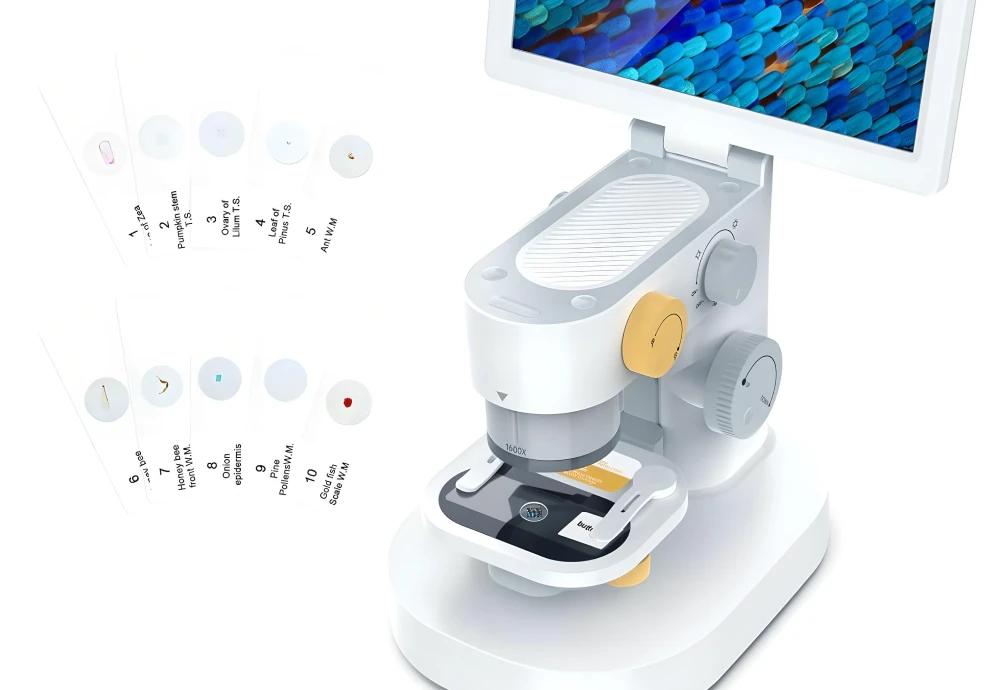 computer microscope