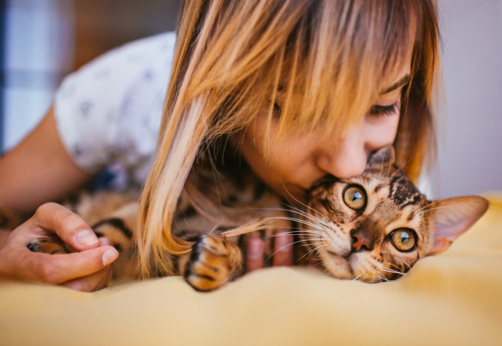 best indoor camera for watching pets